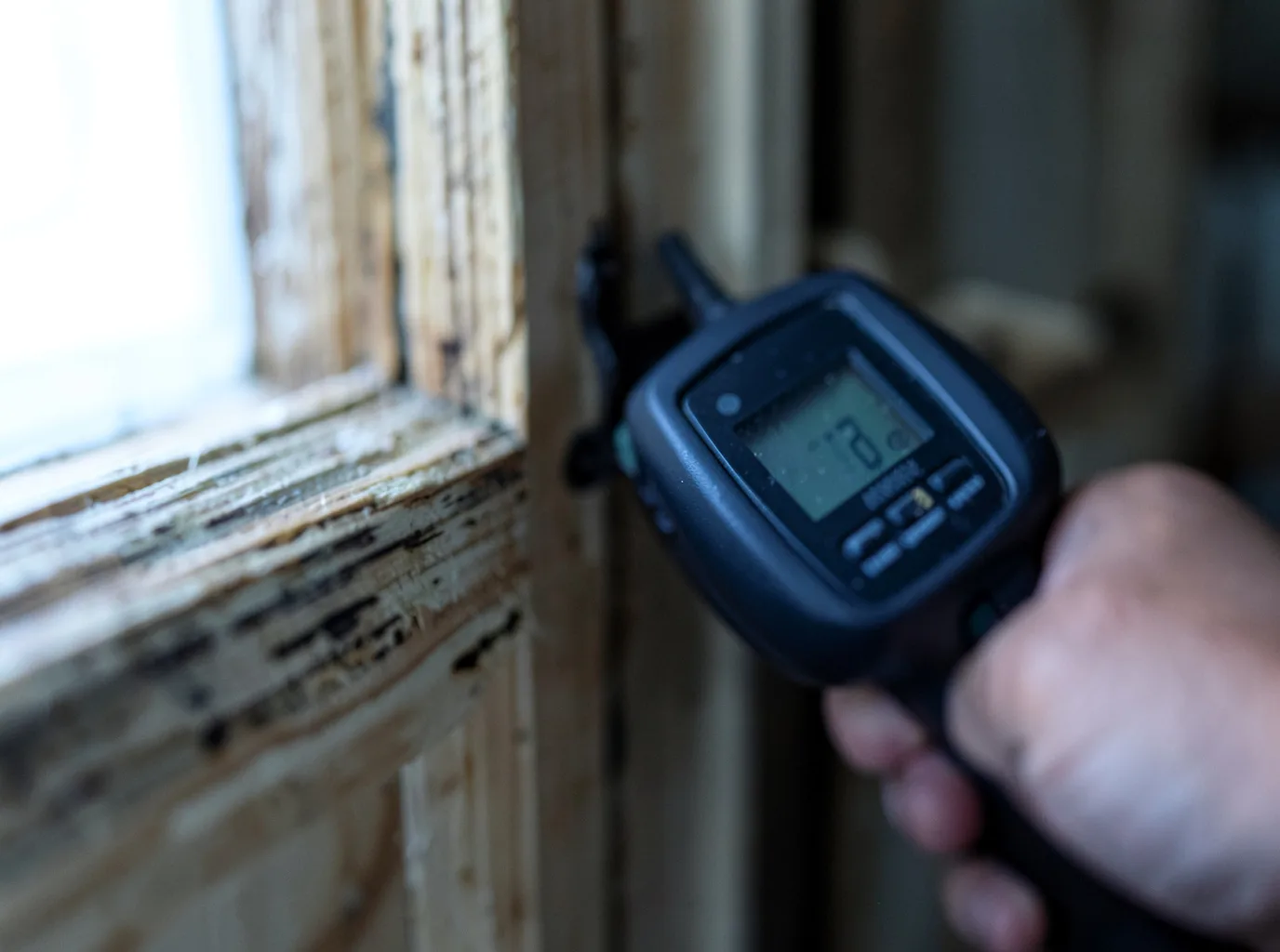 Moisture Inspection And Documentation in Elkhart, IA